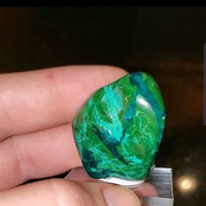 Meet your Posher, Cody